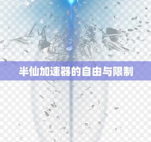 半仙加速器的自由与限制