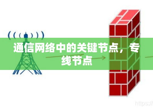 通信网络中的关键节点，专线节点