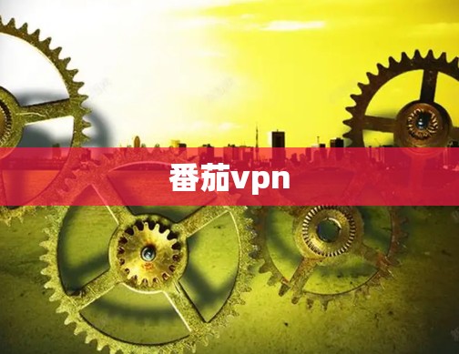番茄vpn