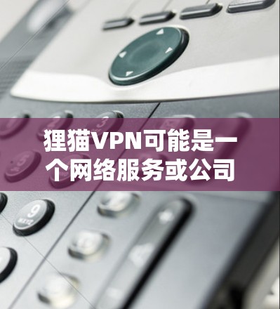 狸猫VPN可能是一个网络服务或公司命名的问题，但具体的含义需要更多的上下文信息来确定。以下是一些可能的解释和建议
