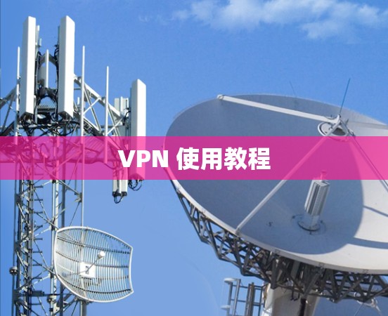 VPN 使用教程