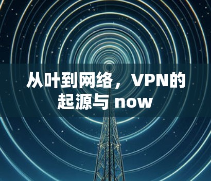 从叶到网络，VPN的起源与 now