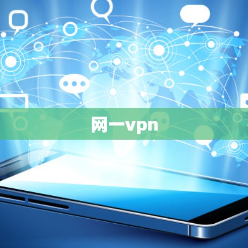 网一vpn