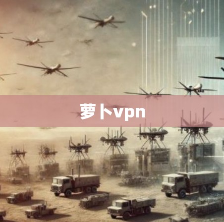 萝卜vpn