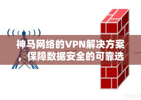 神马网络的VPN解决方案，保障数据安全的可靠选择