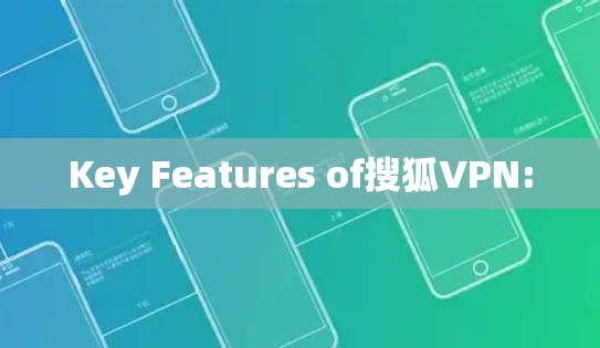 Key Features of搜狐VPN:
