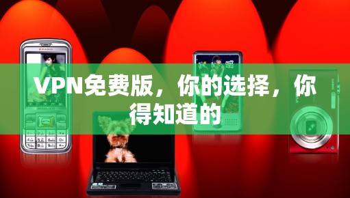 VPN免费版，你的选择，你得知道的