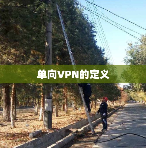 单向VPN的定义
