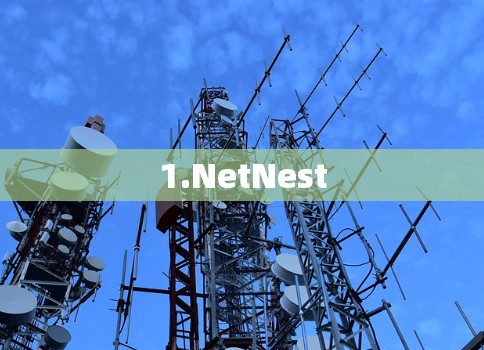 1.NetNest