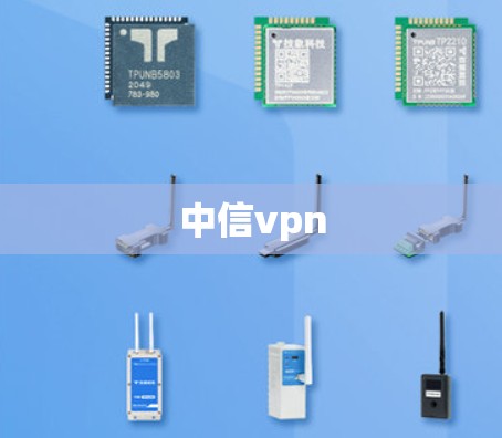 中信vpn