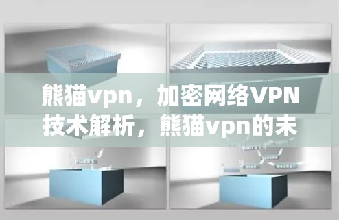 熊猫vpn，加密网络VPN技术解析，熊猫vpn的未来展望