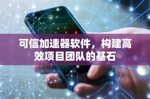 可信加速器软件,构建高效项目团队的基石 可信加速器软件,构建高效项目团队的基石