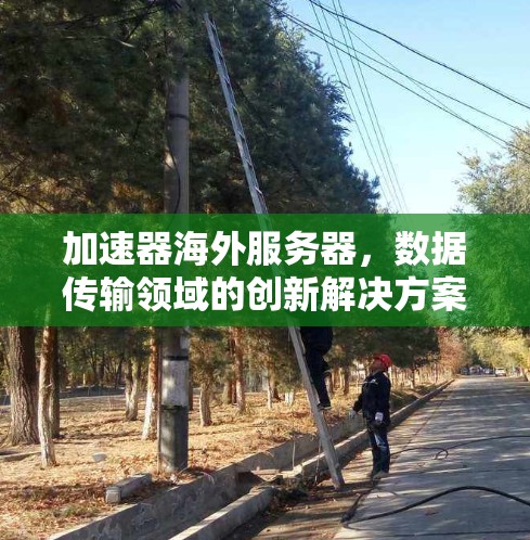 加速器海外服务器，数据传输领域的创新解决方案