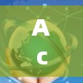 Accelerating Networks:A Comprehensive Overview
