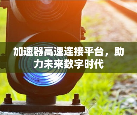 加速器高速连接平台，助力未来数字时代