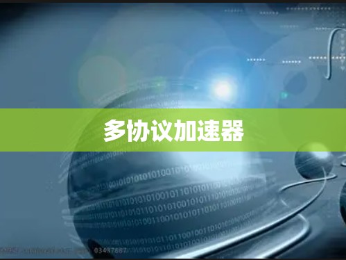 多协议加速器