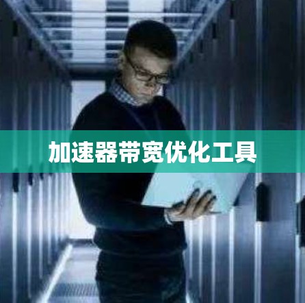加速器带宽优化工具