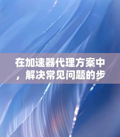 在加速器代理方案中，解决常见问题的步骤如下