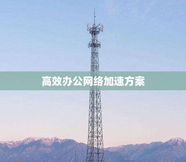 高效办公网络加速方案