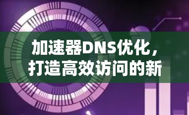 加速器DNS优化，打造高效访问的新标准