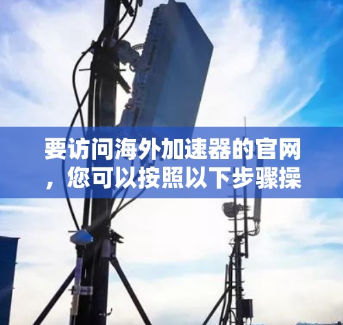 要访问海外加速器的官网，您可以按照以下步骤操作
