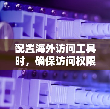 配置海外访问工具时，确保访问权限和设置符合您的需求是关键。以下是一套通用的配置步骤，适用于常见访问工具