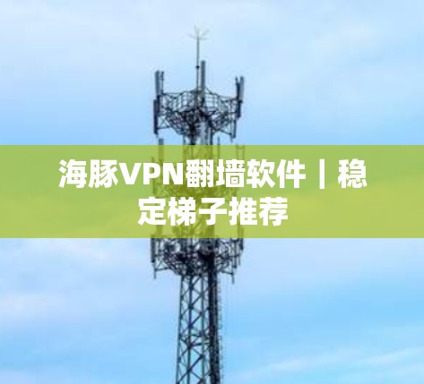 海豚VPN翻墙软件｜稳定梯子推荐