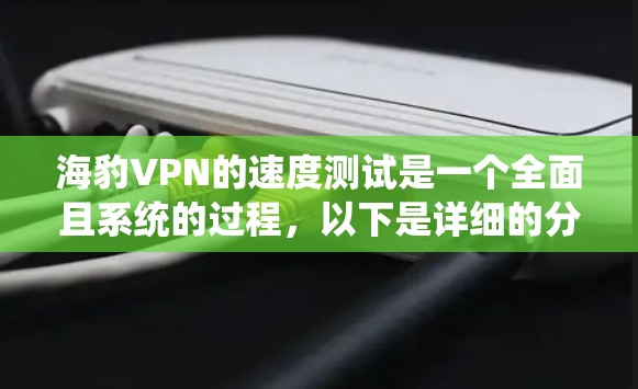 海豹VPN的速度测试是一个全面且系统的过程，以下是详细的分析
