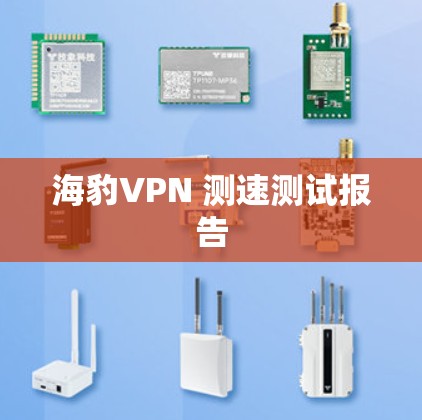海豹VPN 测速测试报告