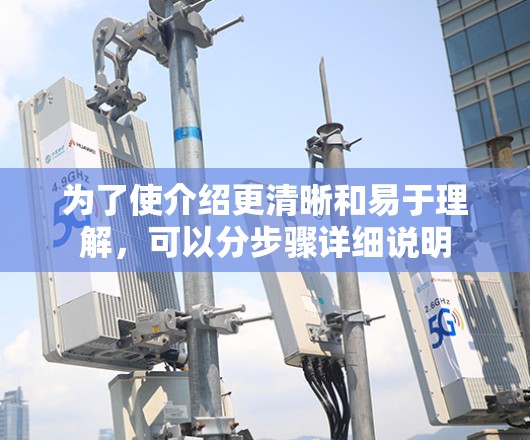 为了使介绍更清晰和易于理解，可以分步骤详细说明