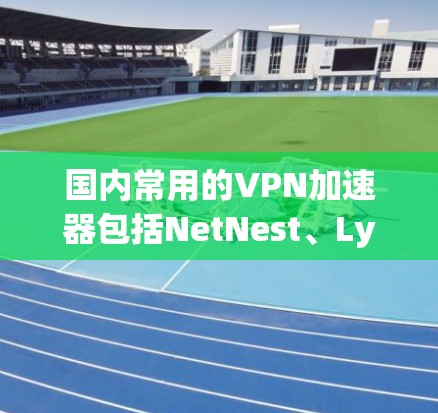 国内常用的VPN加速器包括NetNest、Lynx、Snyk和Proton，每个平台都有其独特的功能和适用用户群体。以下是它们的详细介绍