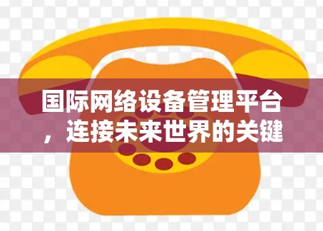 国际网络设备管理平台，连接未来世界的关键