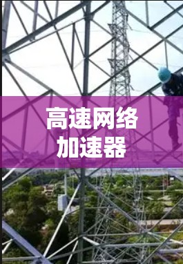 高速网络加速器