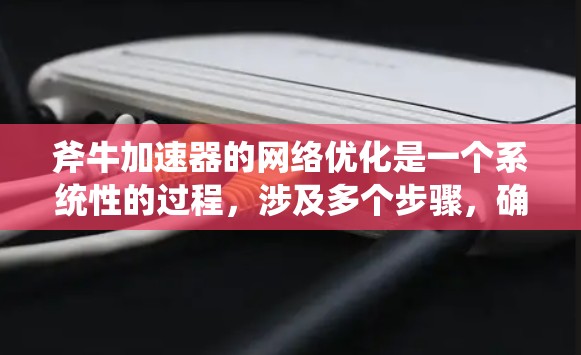 斧牛加速器的网络优化是一个系统性的过程，涉及多个步骤，确保网络环境稳定，服务器能够支持加速器的正常运行。以下是对斧牛加速器网络优化的详细步骤