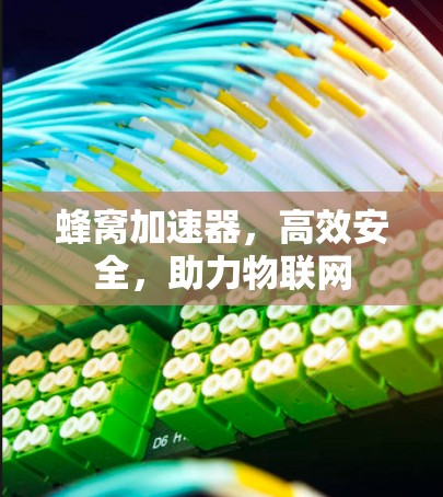 蜂窝加速器,高效安全,助力物联网 蜂窝加速器,高效安全,助力物联网