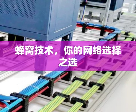 蜂窝技术，你的网络选择之选