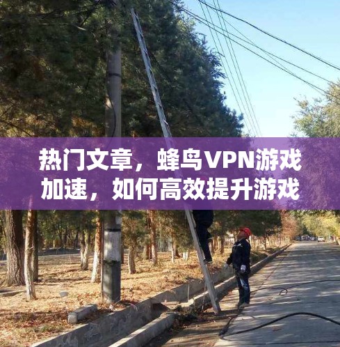 热门文章，蜂鸟VPN游戏加速，如何高效提升游戏性能与体验