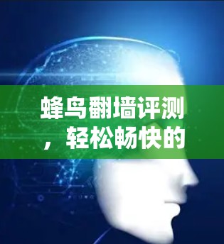 蜂鸟翻墙评测，轻松畅快的网络体验