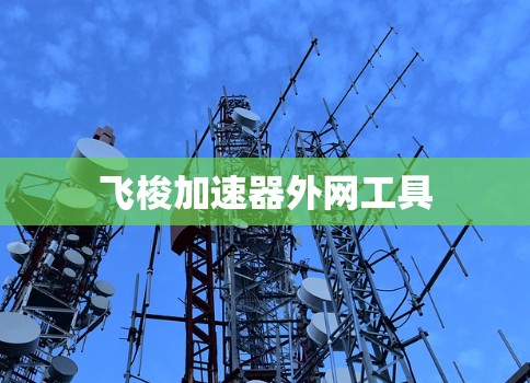 飞梭加速器外网工具