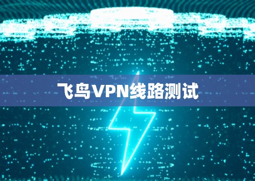 飞鸟VPN线路测试