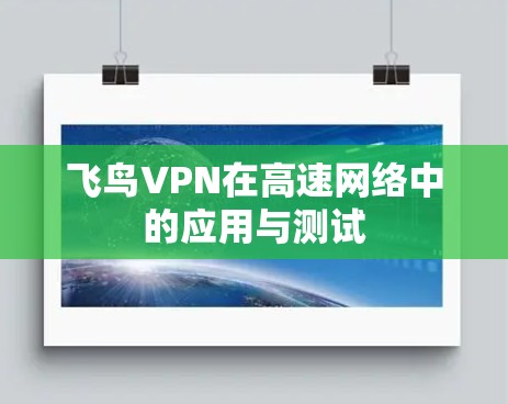 飞鸟VPN在高速网络中的应用与测试
