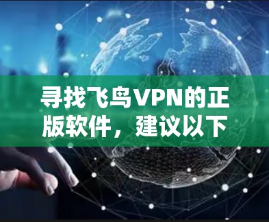 寻找飞鸟VPN的正版软件，建议以下步骤