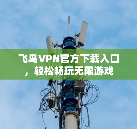 飞鸟VPN官方下载入口，轻松畅玩无限游戏