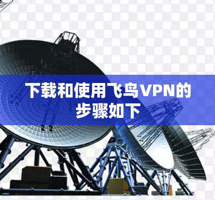 下载和使用飞鸟VPN的步骤如下