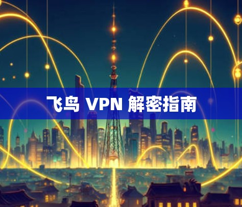 飞鸟 VPN 解密指南