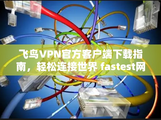 飞鸟VPN官方客户端下载指南，轻松连接世界 fastest网络