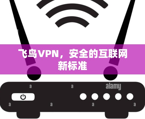 飞鸟VPN,安全的互联网新标准 飞鸟VPN,安全的互联网新标准