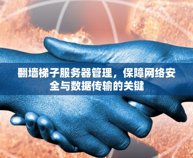 翻墙梯子服务器管理，保障网络安全与数据传输的关键