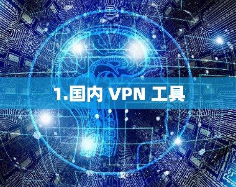 1.国内 VPN 工具