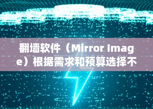 翻墙软件（Mirror Image）根据需求和预算选择不同的软件，每个软件都有其独特的功能和体验。以下是一些常见的翻墙软件及其高速连接体验和功能介绍